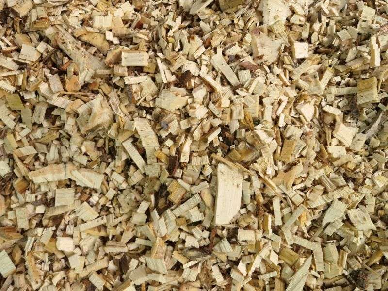 PP电子(中国)有限公司官网