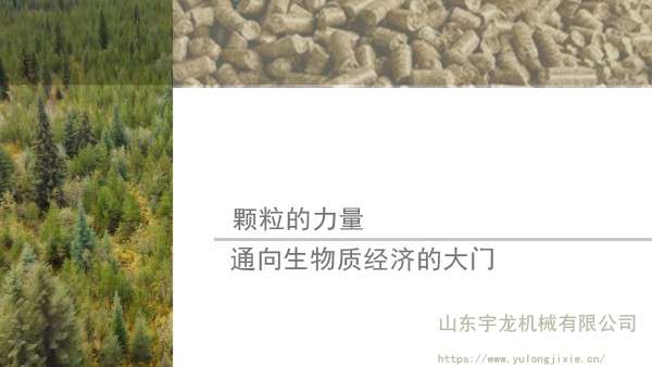 PP电子(中国)有限公司官网