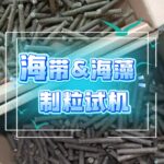 PP电子(中国)有限公司官网