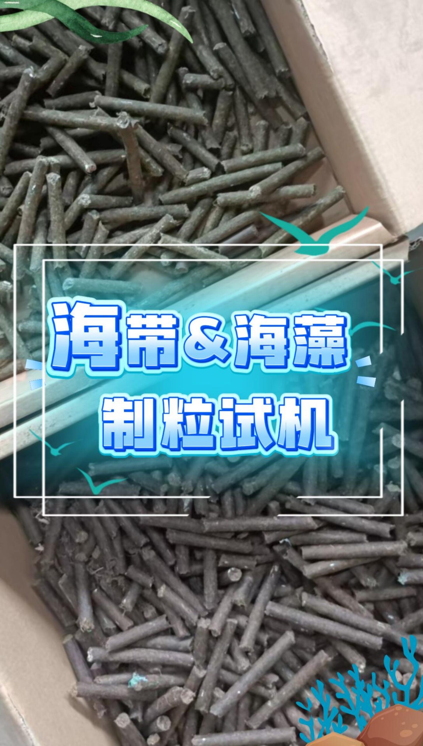 PP电子(中国)有限公司官网