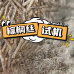 PP电子(中国)有限公司官网
